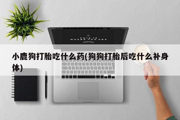 打胎药专卖微信方式小鹿狗打胎吃什么药(狗狗打胎后吃什么补身体)