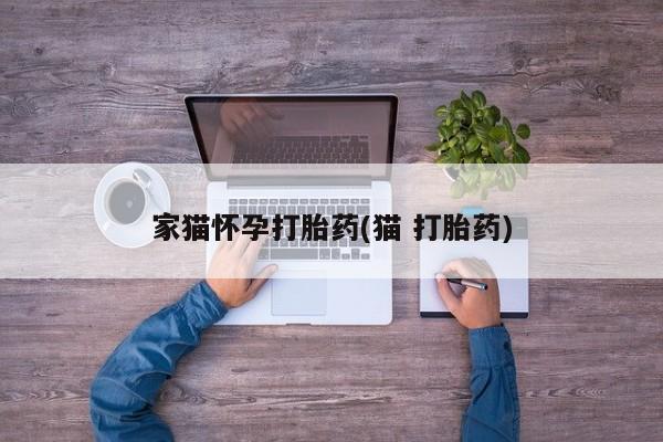 打胎药专卖微信方式家猫怀孕打胎药(猫 打胎药)